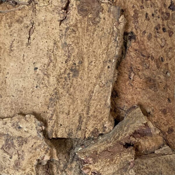 Cork wall tiles in all natural cork